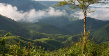 Naga Hills - Tamenglong