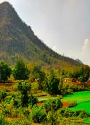 Niyamagiri Hills - Rayagada