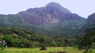 Agastyamalai Hill Station - Tirunelveli