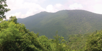 Javadi Hills - Vellore
