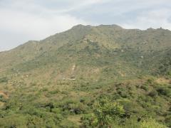 Kanjamalai Hills - Salem