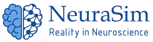 NeuraSim - BeeVee Vision Therapy