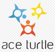 ace turtle