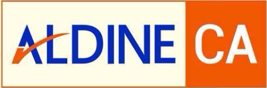 Aldine CA Patna & VEE Classes - Kankarbagh - Patna