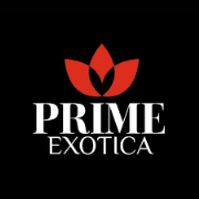 Prime Exotica Salon - Sitabuldi - Nagpur
