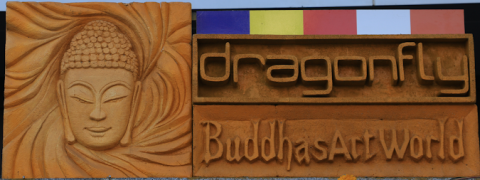 Dragonfly Art Gallery - Mumbai