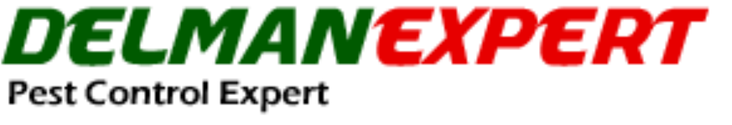 Delmanexpert