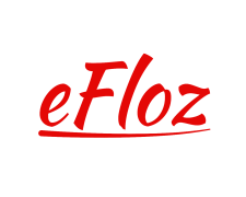 eFloz IT Services