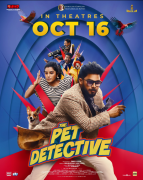 The Pet Detective