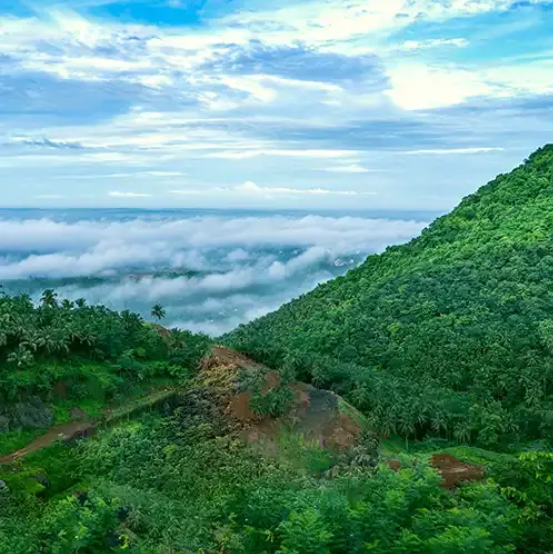 Arimbra Hills - Malappuram Image