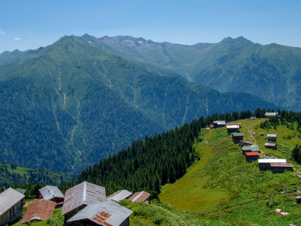 Barog Hills - Solan Image