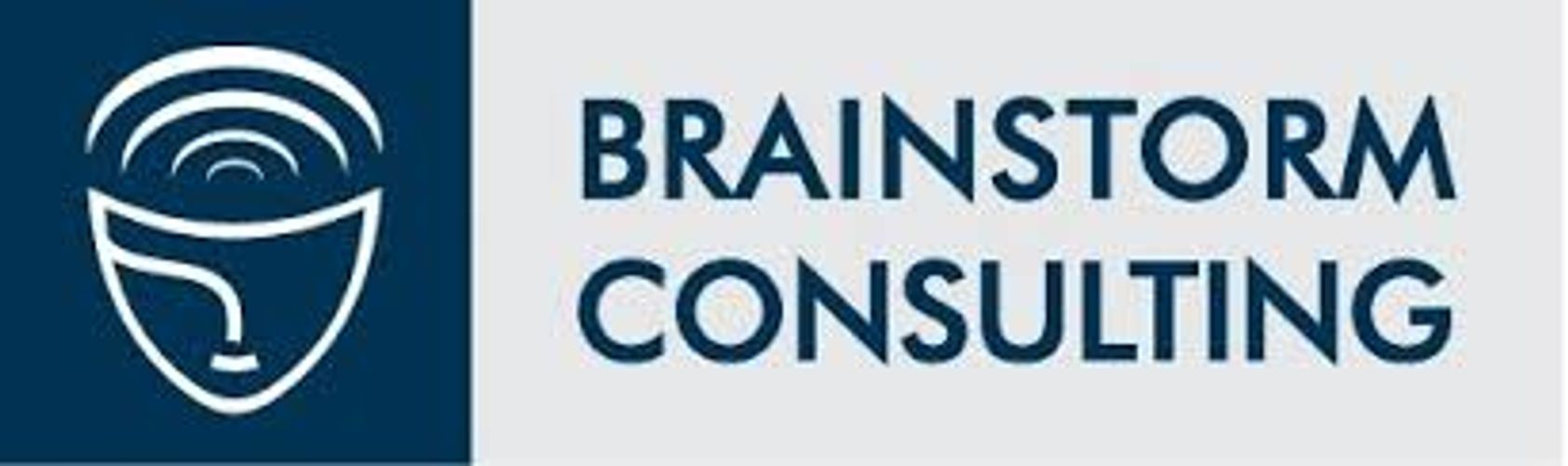 Brainstorm Consulting Image