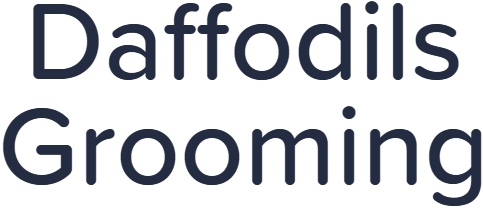 Daffodils Grooming - Laxmi Nagar - Nagpur Image