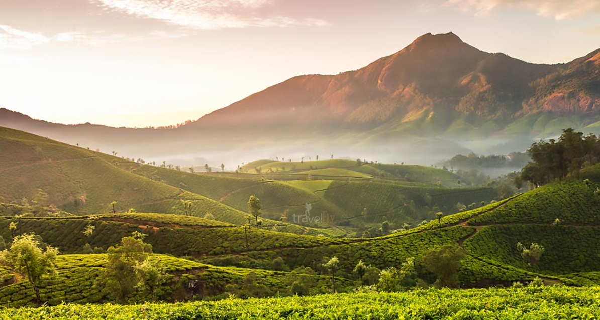 Devikulam Hill Station - Idukki Image