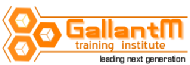 Gallantm Training Institute - Chennai Image
