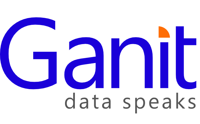 Ganit Business Solutions Image