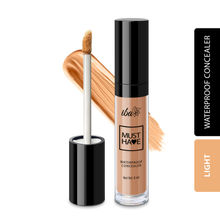 Iba Must Have Waterproof Concealer Image