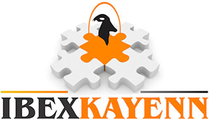 Ibex Gallagher Pvt Ltd Image