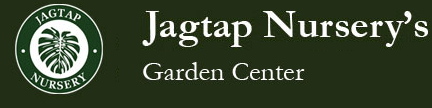 Jagtap Nursery - Magarpatta - Pune Image