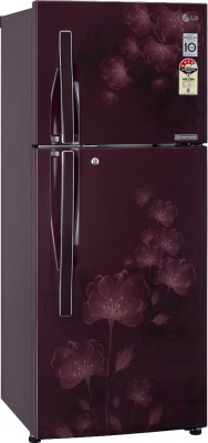 LG GLD302JSFL 285 L Double Door Refrigerator Image