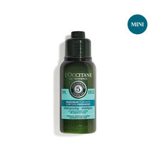 Loccitane Purifying Freshness Shampoo Image