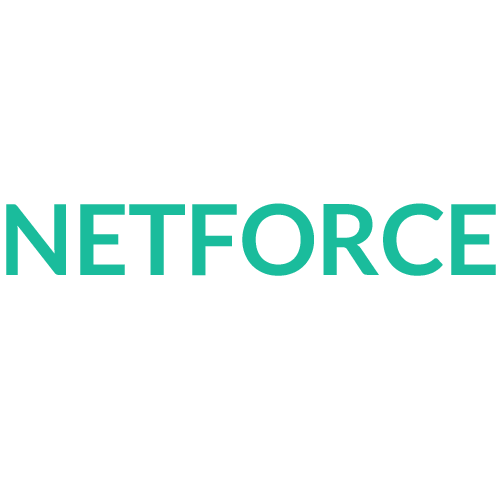 Netforce Infotech Image