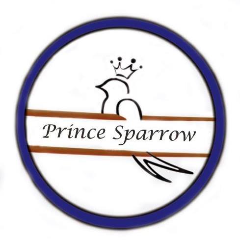 Prince Sparrow Professional Real Estate - Chennai Image