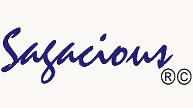 Sagacious Softwares Image