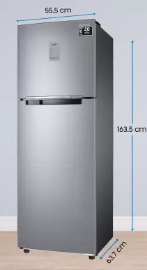 Samsung 256 L Double Door Refrigerator RT30C3742S9 Image