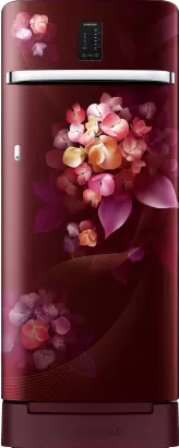 Samsung 256 L Single Door Refrigerator RR23C2F23HT Image