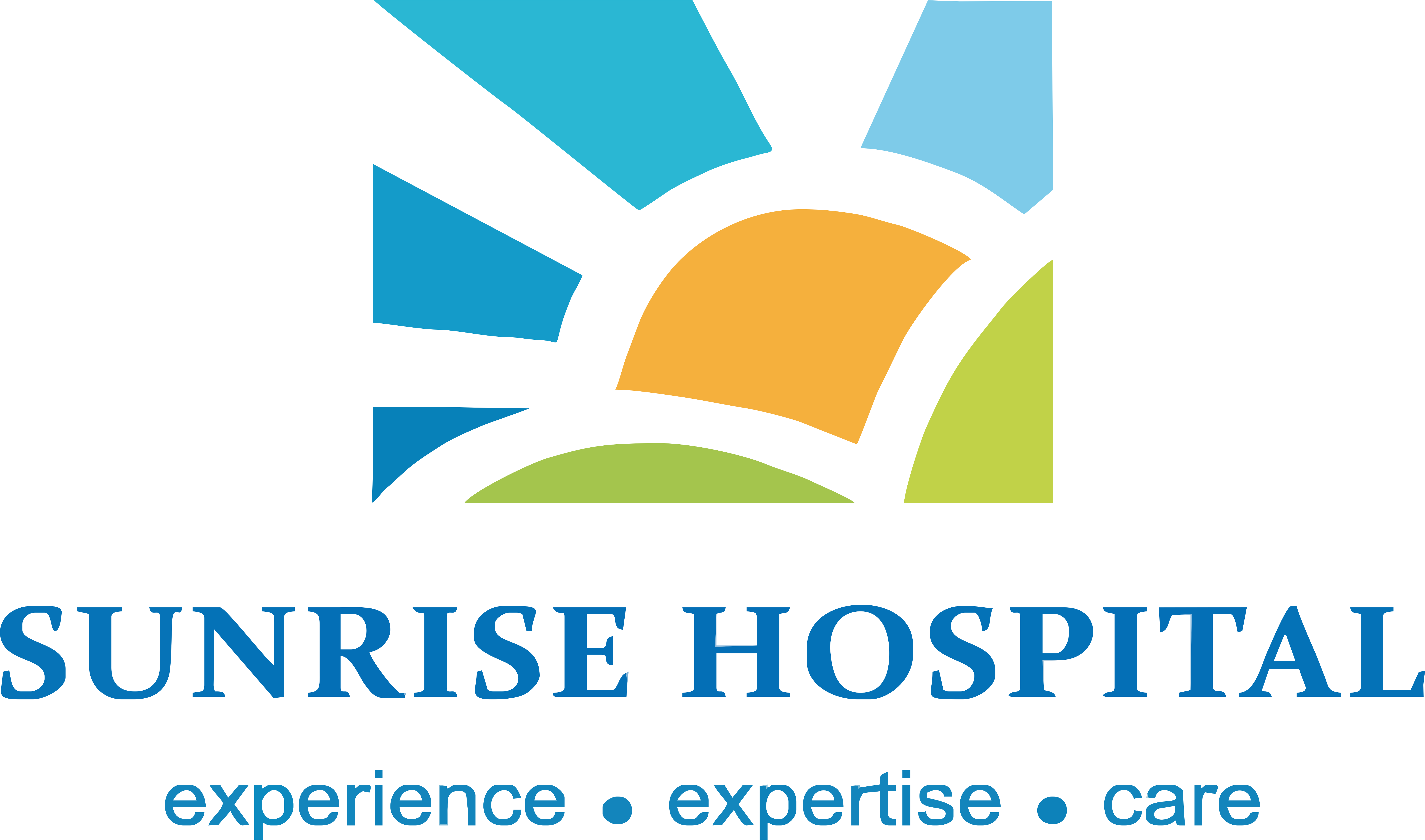 Sunrise Hospital - Cochin Image