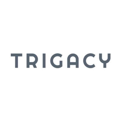 Trigacy - Digital Marketing Services Image