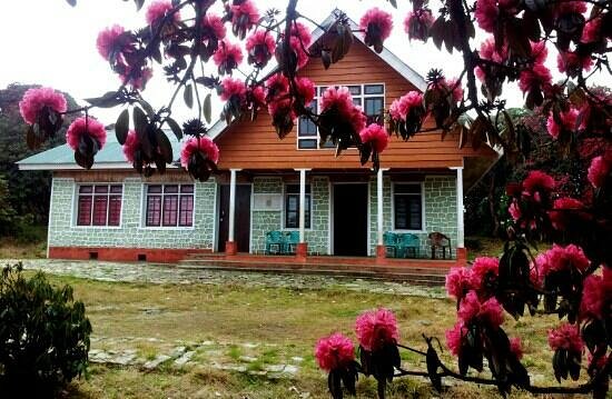 Varsey Rhododendron Sanctuary - Sikkim Image