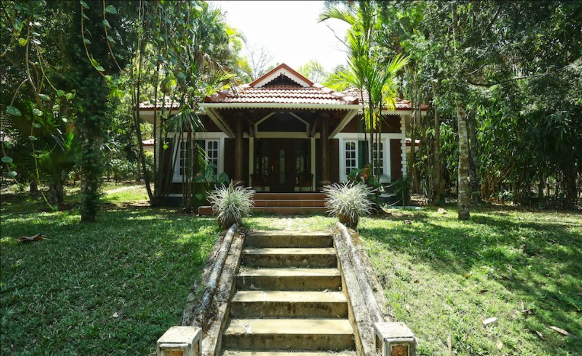 Wayanad Blooms - Wayanad Image