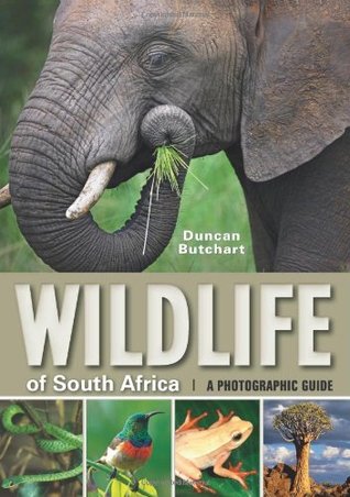 Wildlife of South Africa - Art Publishers Image