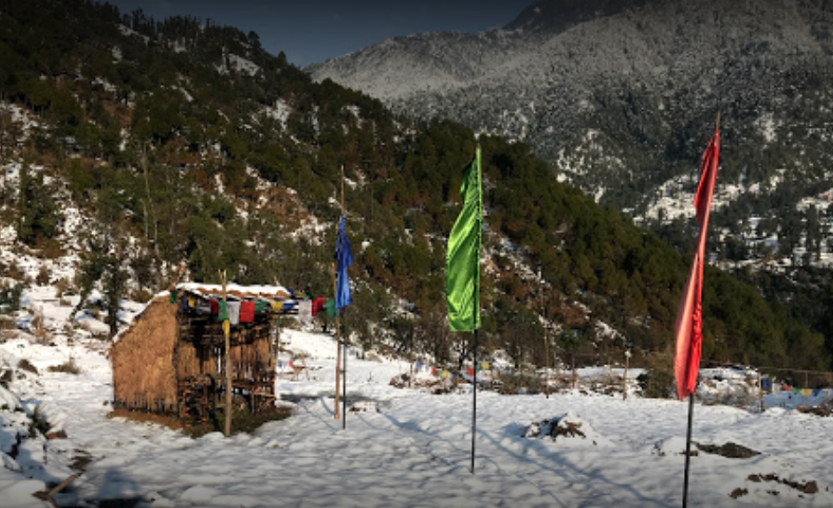 Woodscation - Dharamshala Image