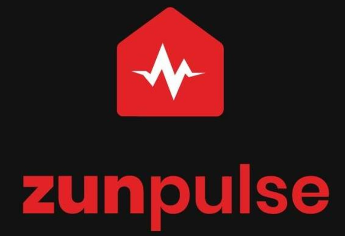 Zunpulse Tubelight Image