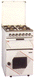 Inalsa 304 Cooking Range