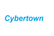 Cybertown