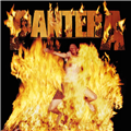 Reinventing The Steel - Pantera