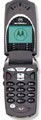 Motorola v60g