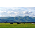 Dajipur Wild Life Sanctuary