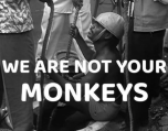 We Are Not Your Monkeys