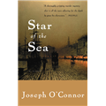 Star of the Sea - Joseph O Connor