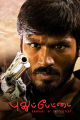 Pudupettai
