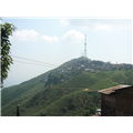 Kurseong