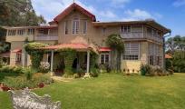 Chevron Rosemount - Almora