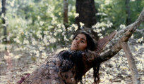 Cheluvi