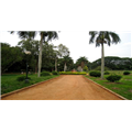 Meghdoot Park - Indore