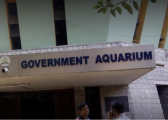 Government Aquarium - Bangalore